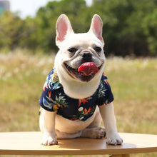 Cargar imagen en el visor de la galería, Perro-hawaiano
